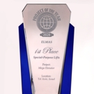 Premii internationale