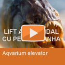 Fish Elevator
